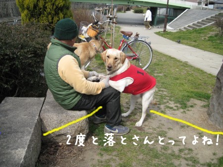 落とさないで!