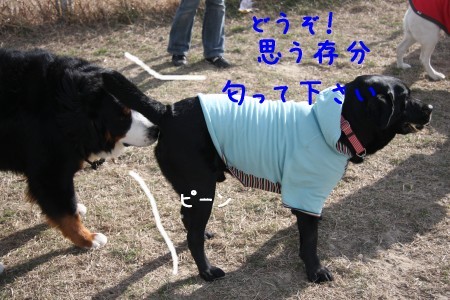 ピーン