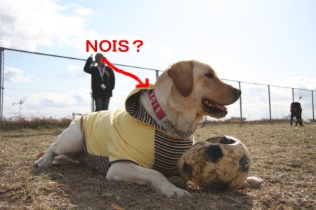 NOIS