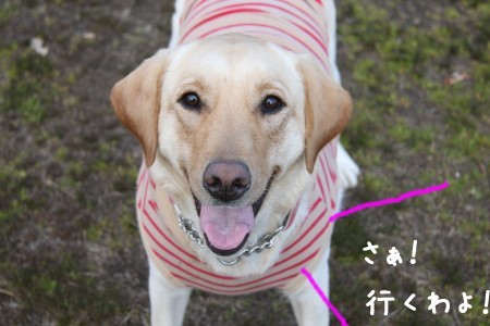 復活!