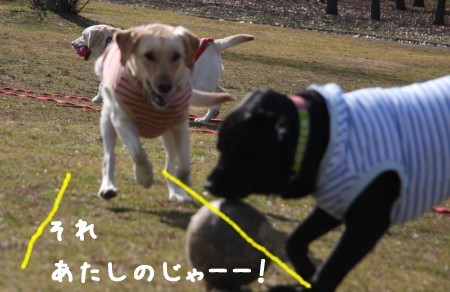 あたしの