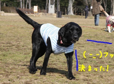 決め!