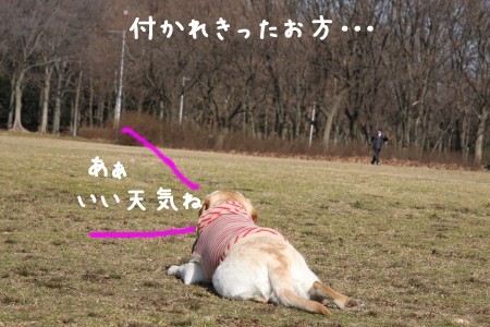 後姿