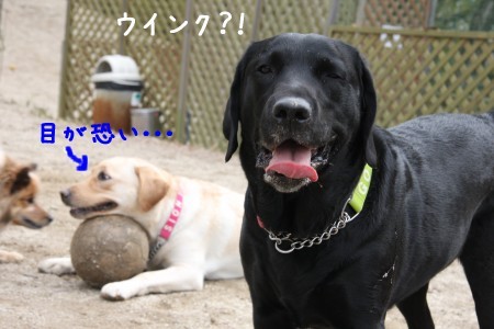 目