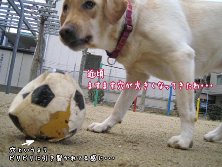公園2