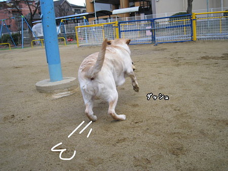 公園3