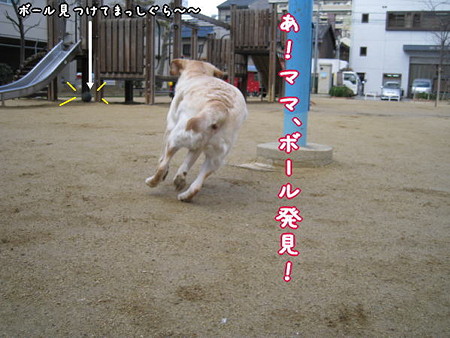 公園7