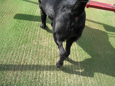 公園13