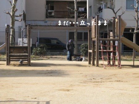 公園16