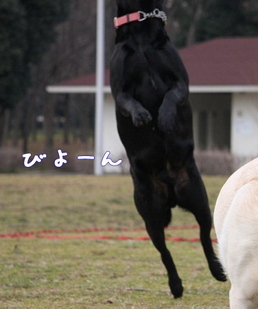 びよーん