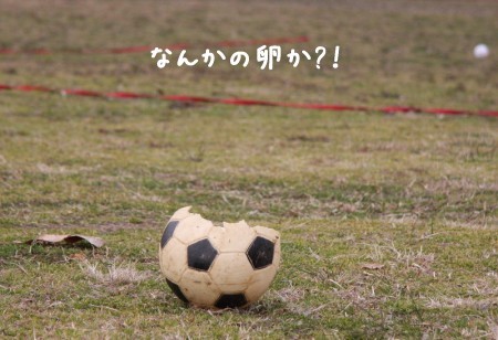 ボール?卵?
