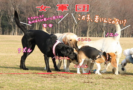 女軍団?おばちゃん軍団?