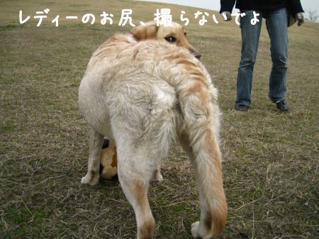 汚いおケツ!