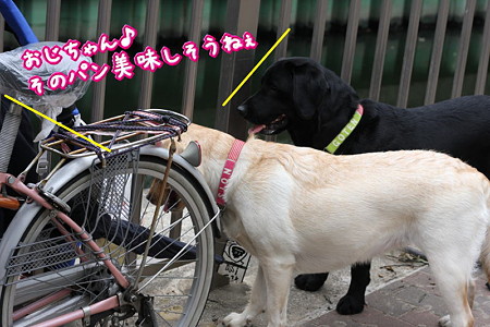 パン欲しい