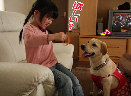 欲しい?