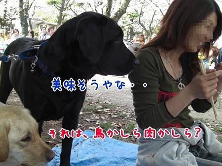 美味い?