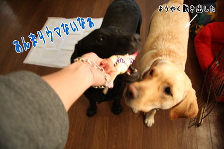 ウマくない