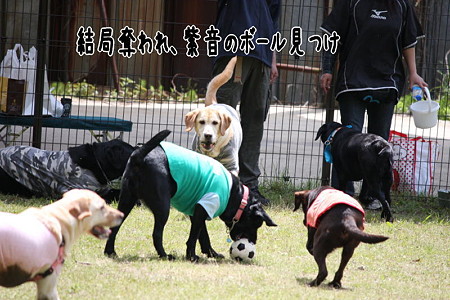 奪われ