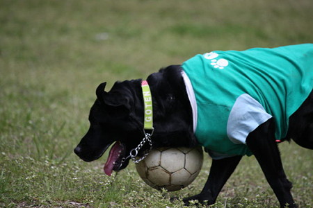 サッカー