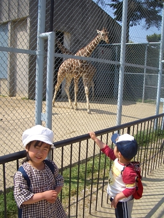 <b>京都市動物園</b>に行きました。