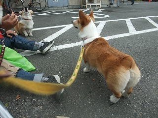 2009_0506日帰り大阪旅行0018