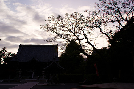 本覚寺夕焼け5ta