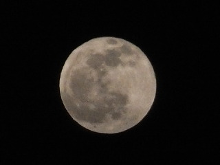 ４月15日(火)、今夜は満月でした。