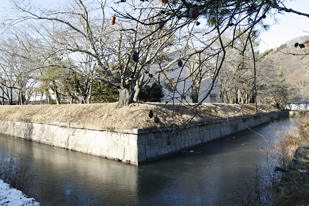 龍岡城五稜郭 - 13