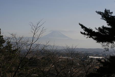 谷戸城から富士山を望む