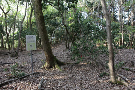 山家城〔甲ヶ峯城・左衛門屋敷〕 - 12