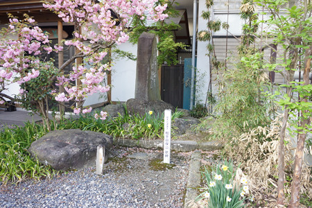 興徳寺 - 05