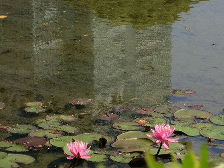 慶沢園 - 04