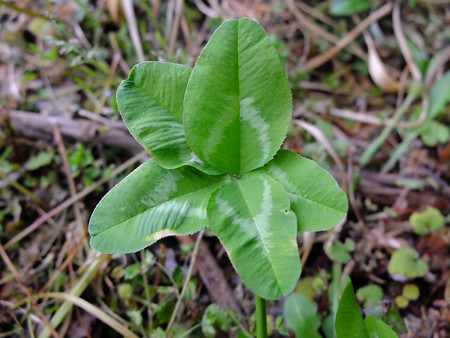 DSCF0493