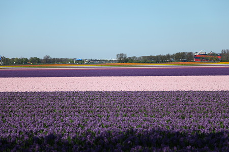 DPP_0747