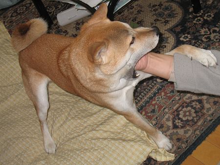 img 1117