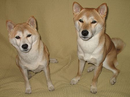img 252