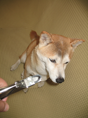 img 316