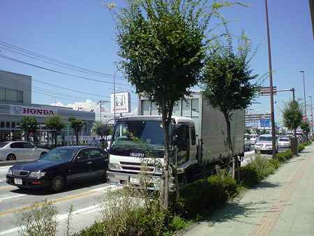DSC00272