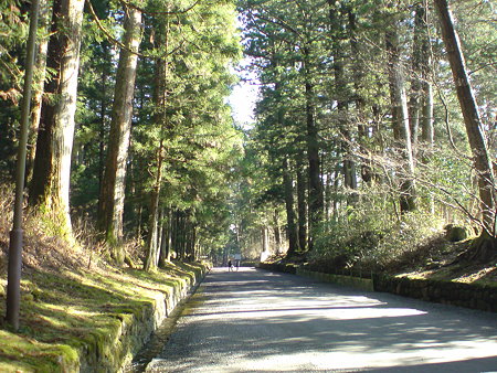 DSC00063