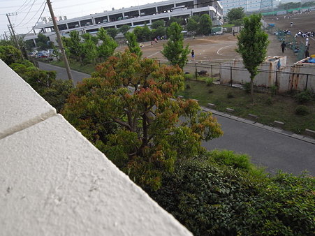 R0010154