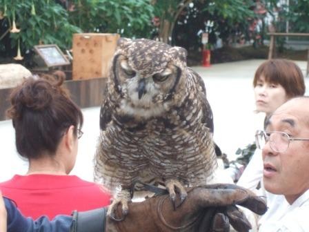 コピー ～ DSCF0788