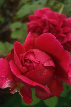 DSC09769