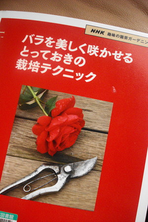待ちに待った本が(⌒～⌒)