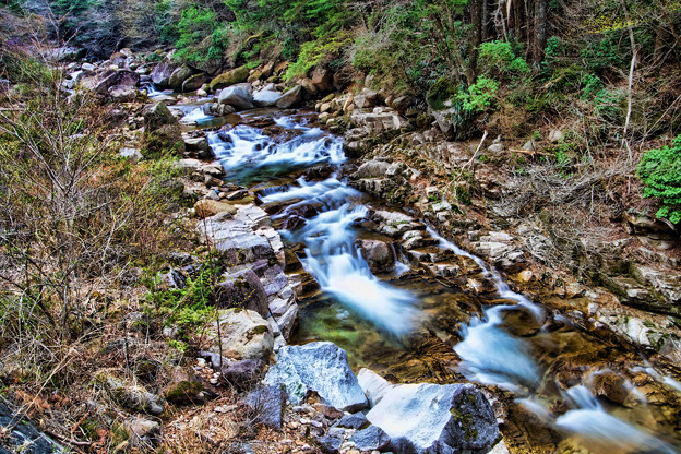 _MG_2001