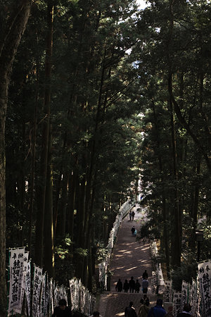 天に続く参道
