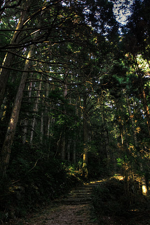 熊野古道