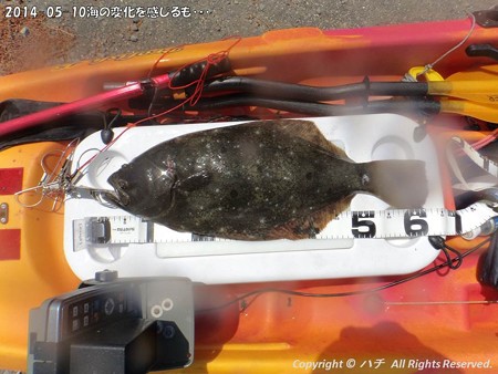 2014-05-10海の変化を感じるも・・・ (12)