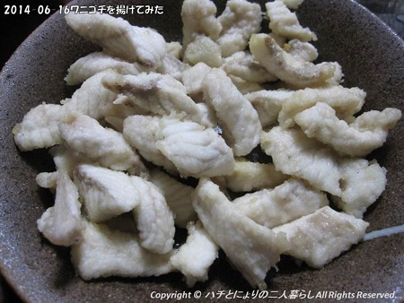 2014-06-16ワニゴチを揚げてみた