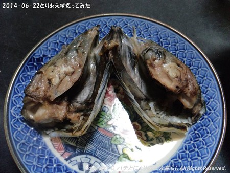 2014-06-22とりあえず炙ってみた (7)