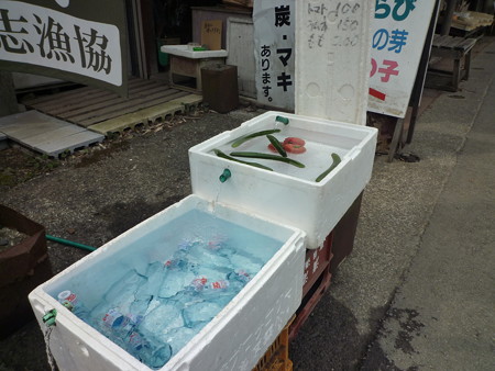 P1040053